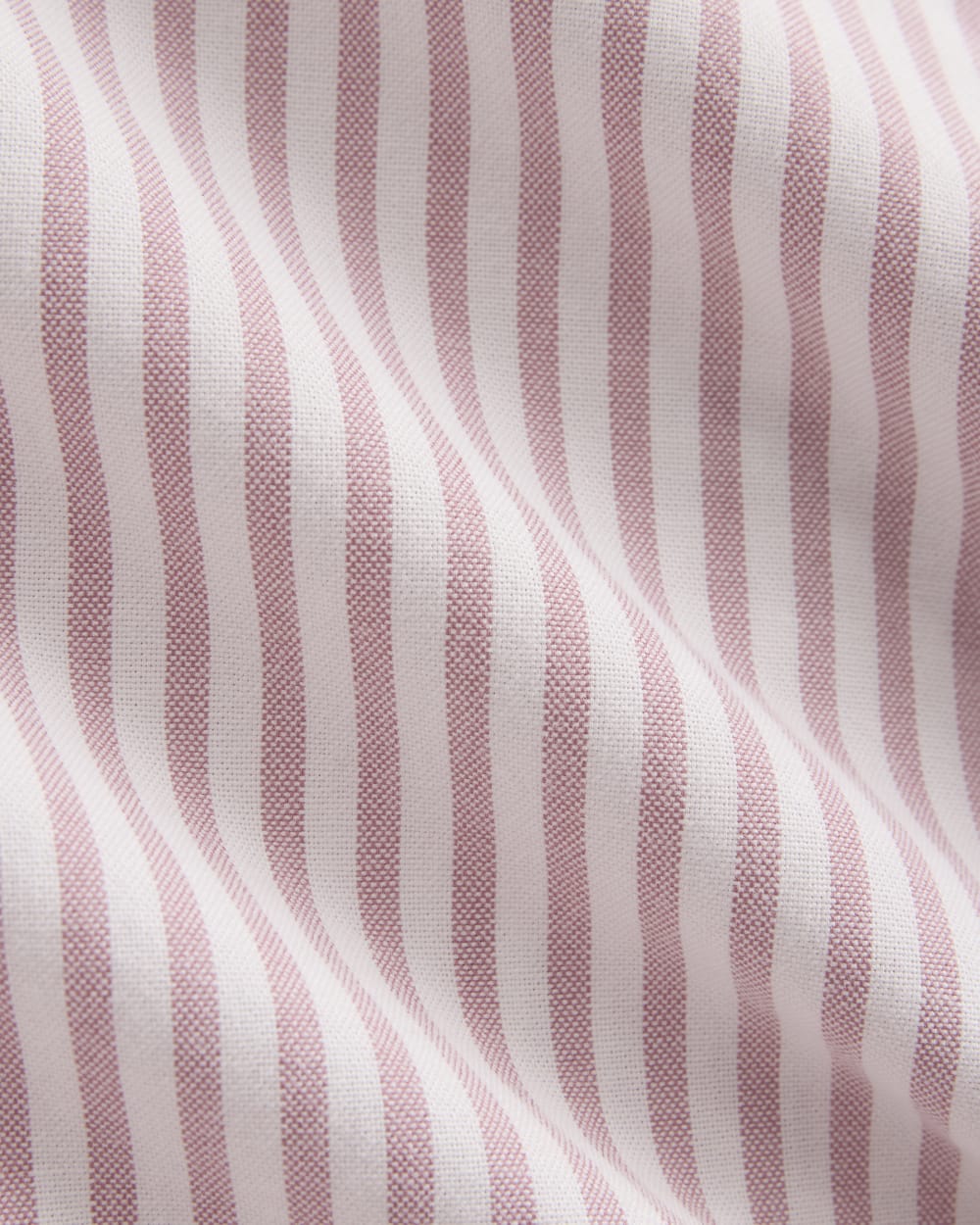 Everyday Oxford Shirt | Bone/Heather Rose - Image 6