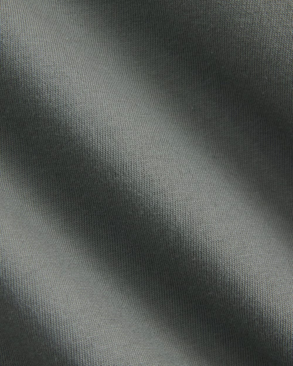 Archive Relaxed-Fit Cotton Crew | Agave Green - Image 5