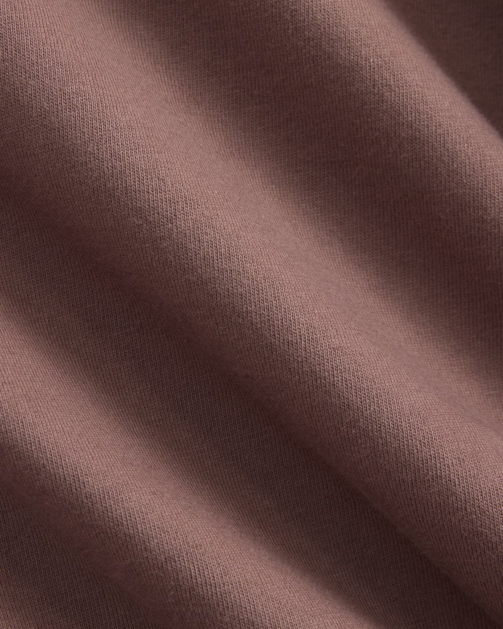 Archive Standard-Fit Cotton Crew | Mocha - Image 5